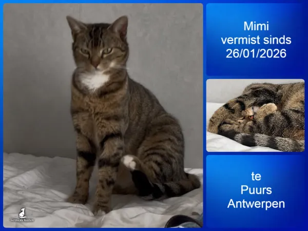 Mimi