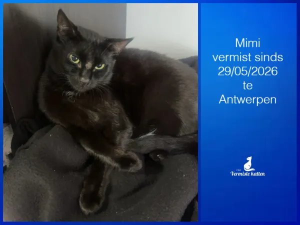 Mimi