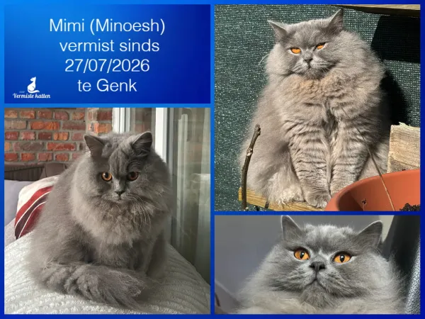 Mimi/minoesh