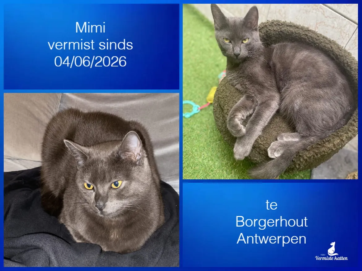 Mimi