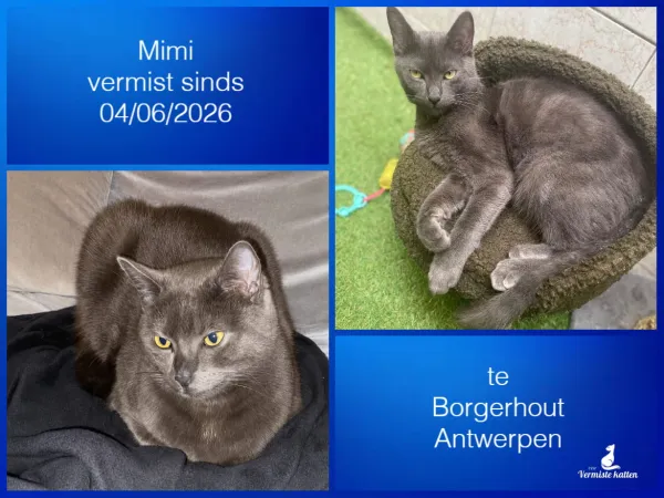 Mimi