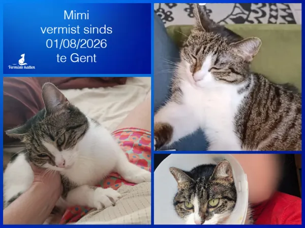 Mimi