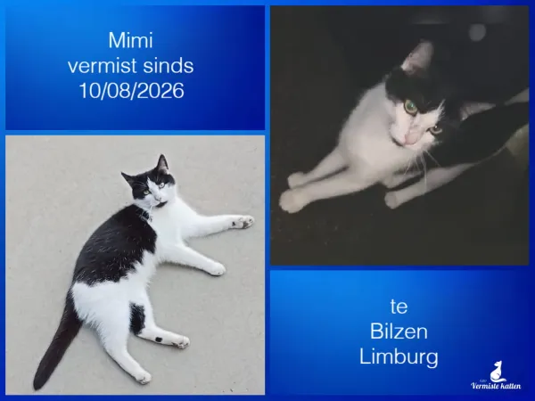 Mimi