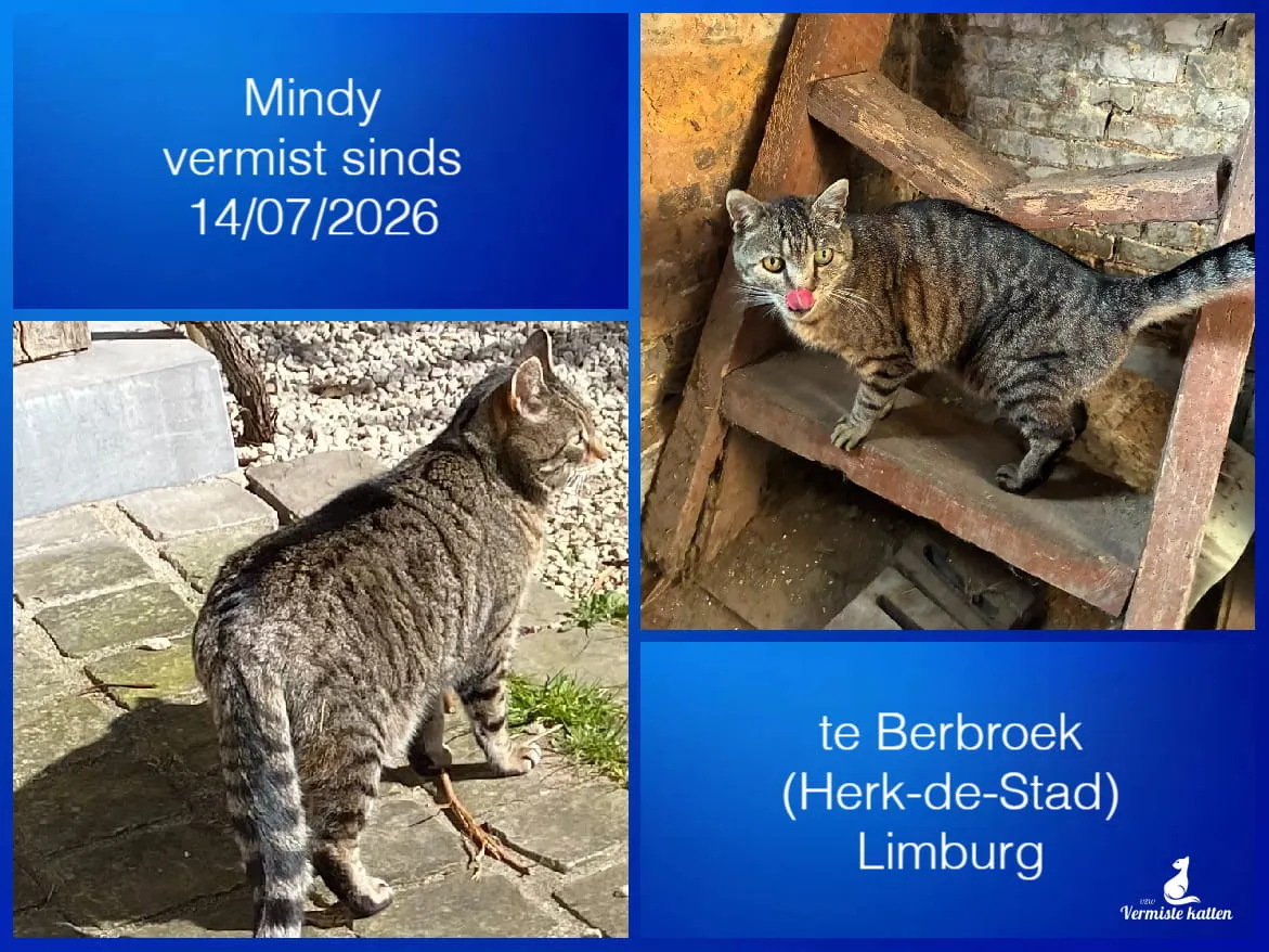 Mindy