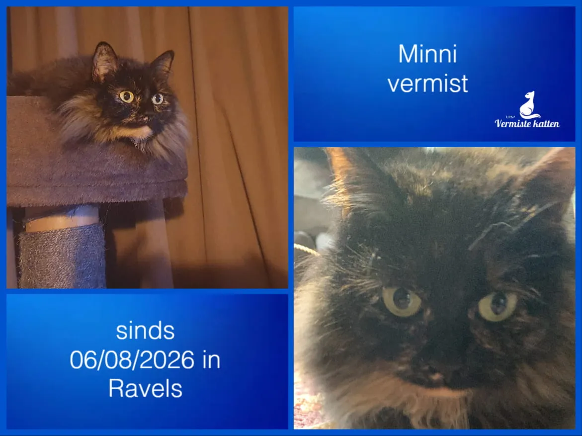Minni