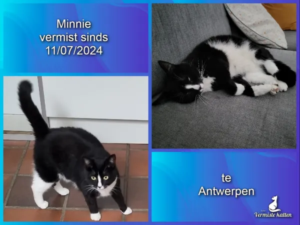 Minnie