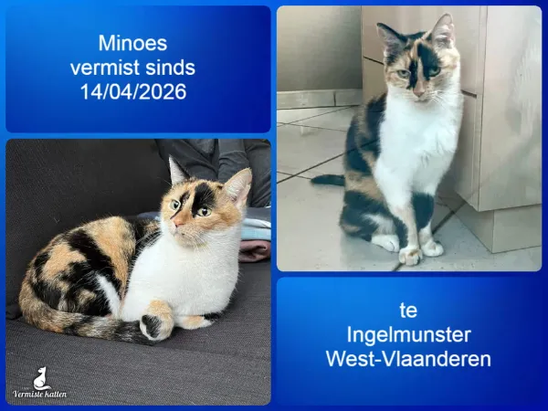 Minoes