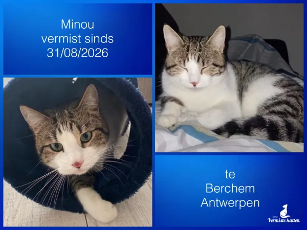 Minou