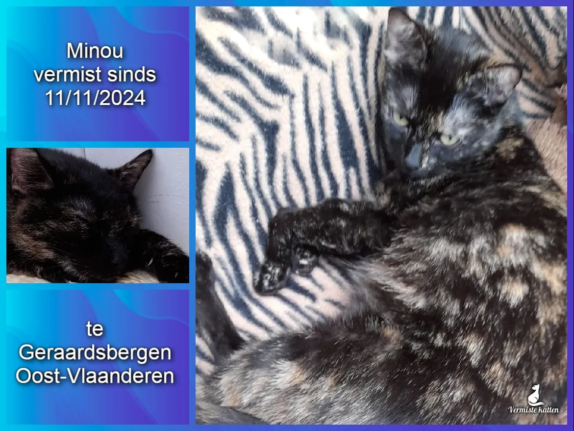 Minou