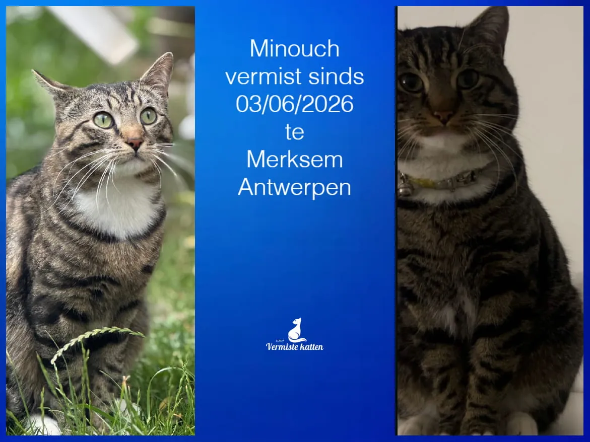 Minouch