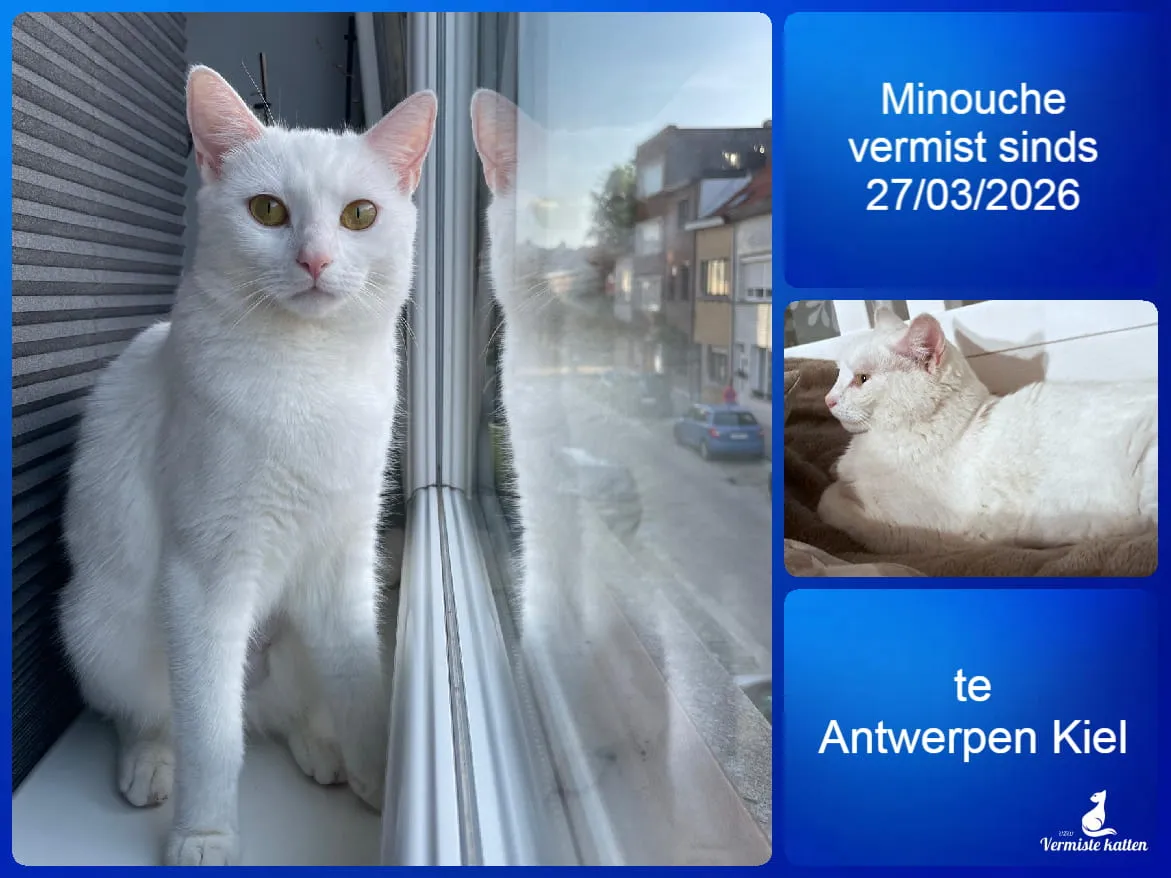 Minouche