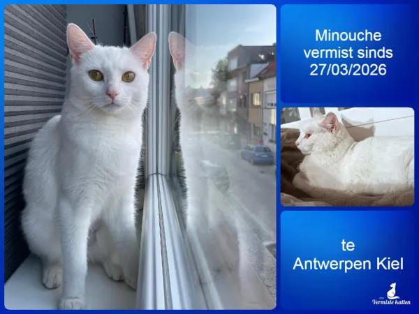 Minouche