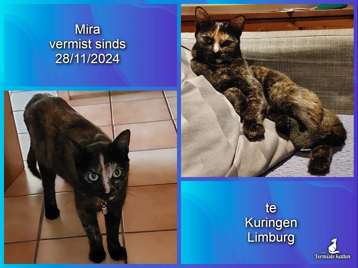 Mira