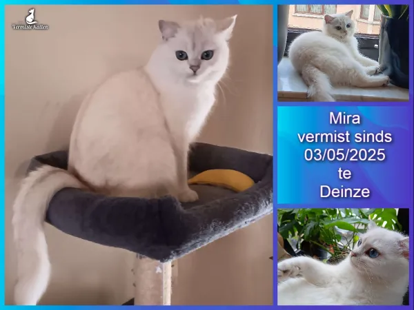 Mira