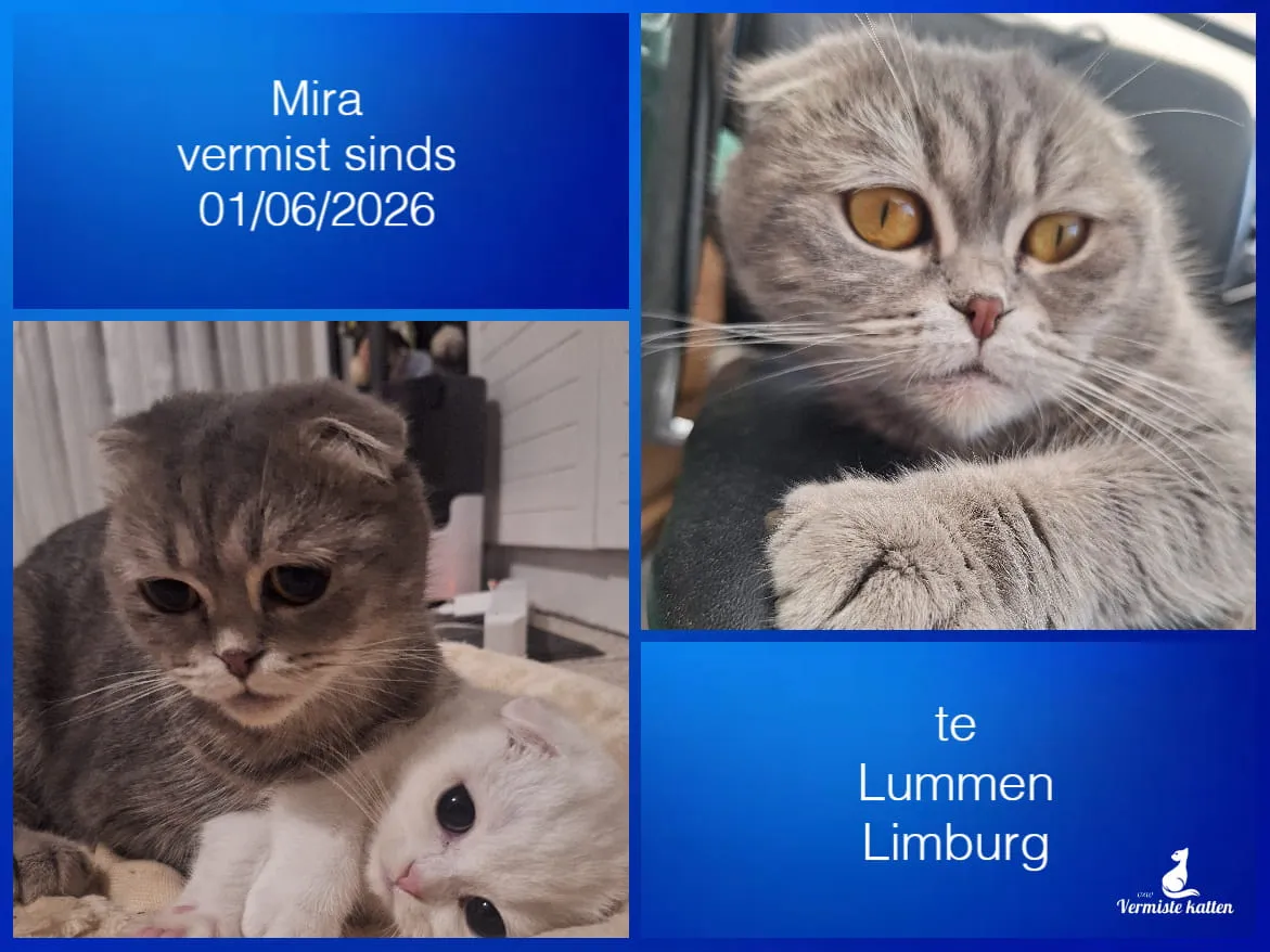 MIRA