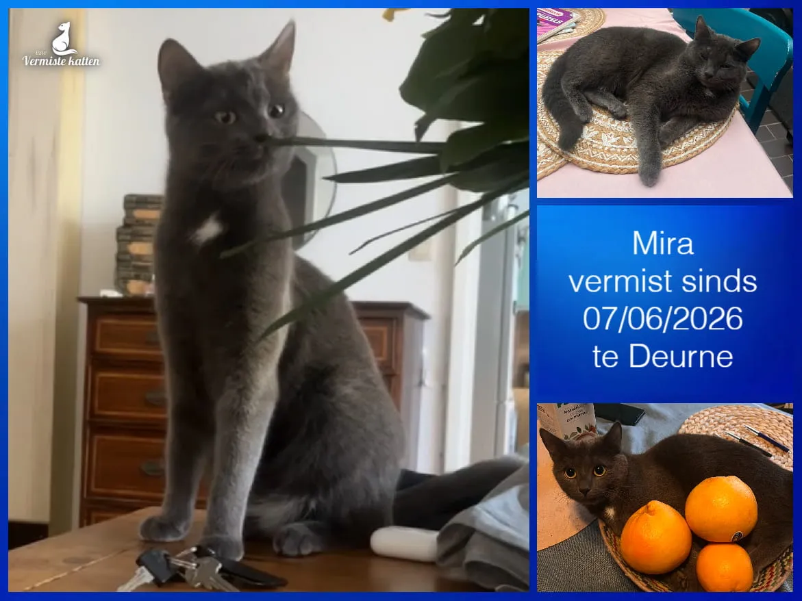Mira