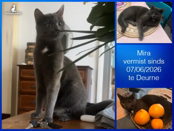 Mira