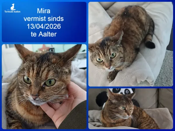 Mira
