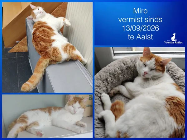 Miro