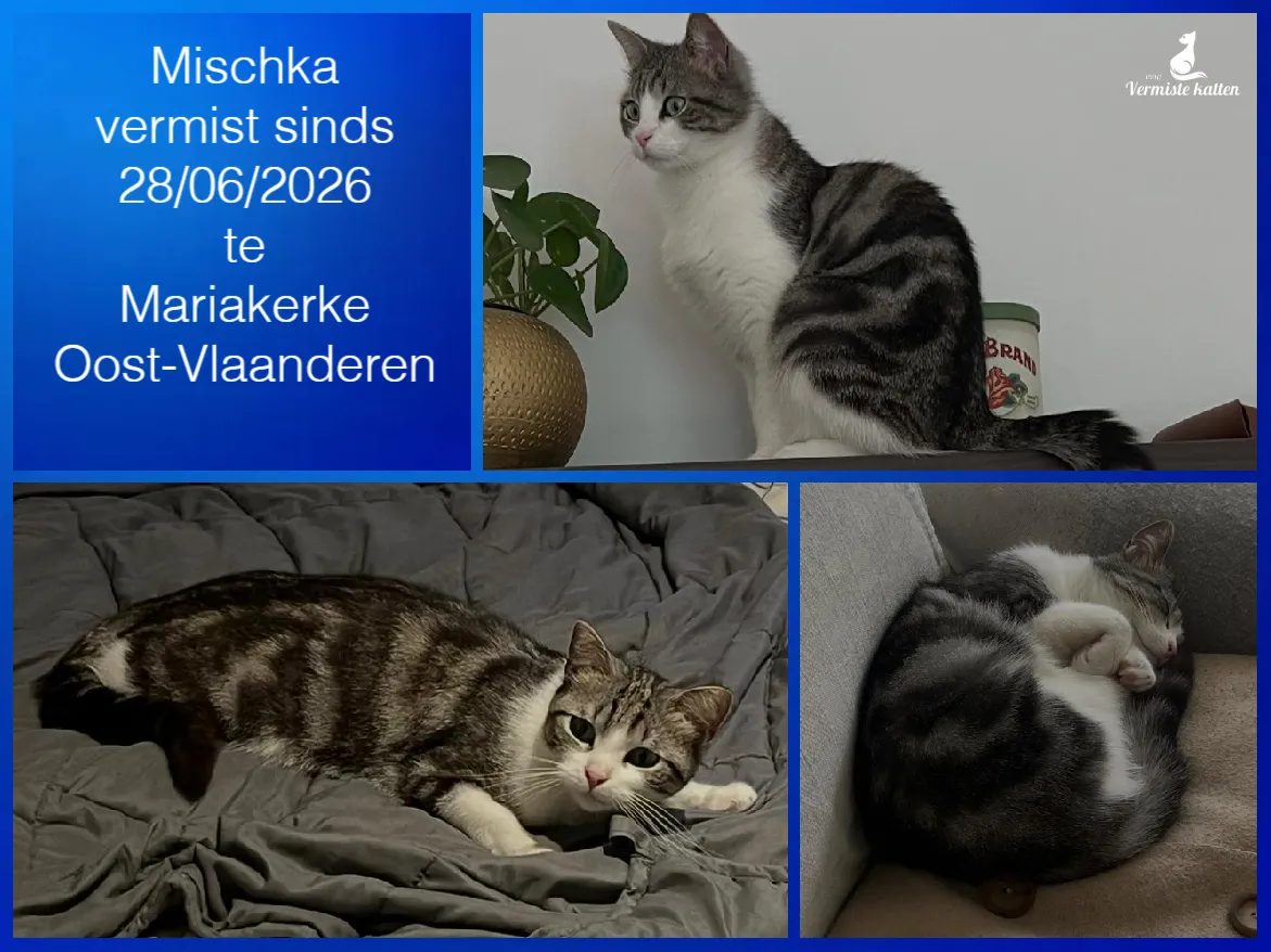 Mischka