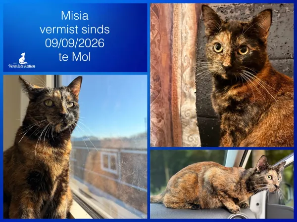 Misia