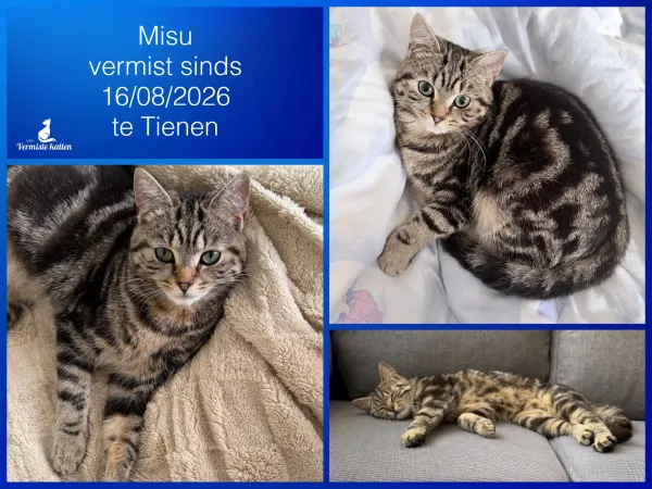 Misu