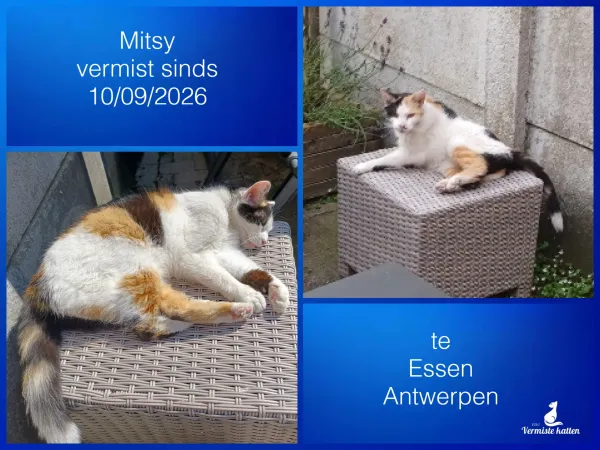 Mitsy