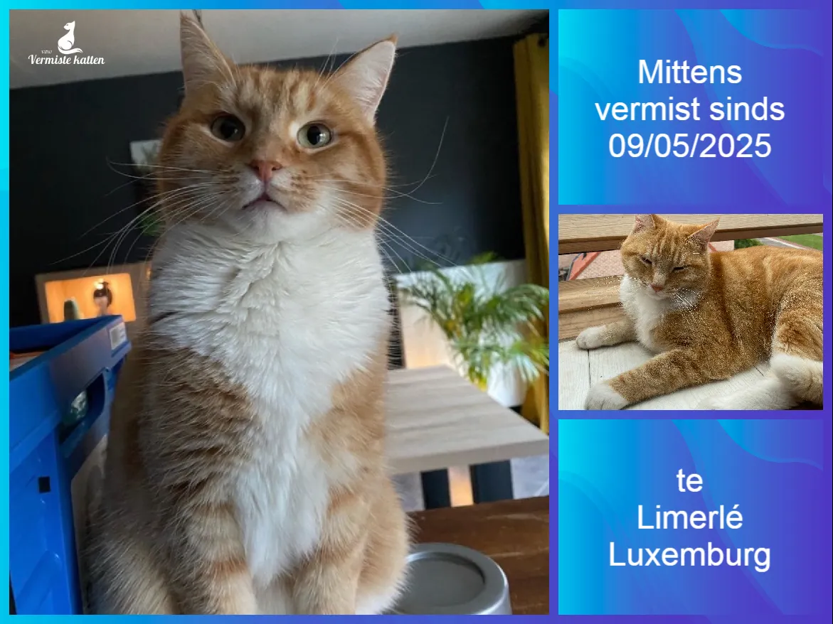 Mittens