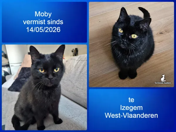 Moby