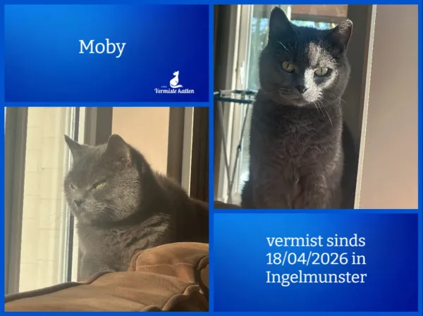 Moby