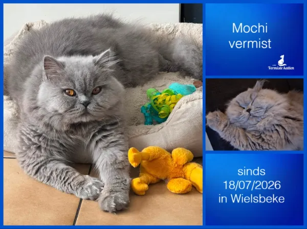 Mochi