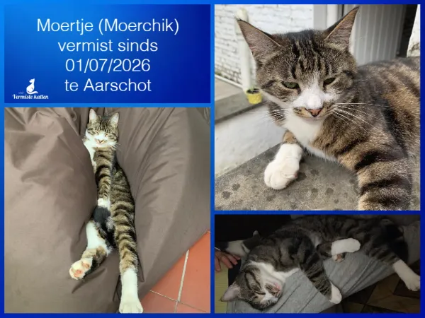 Moertje/Moerchik