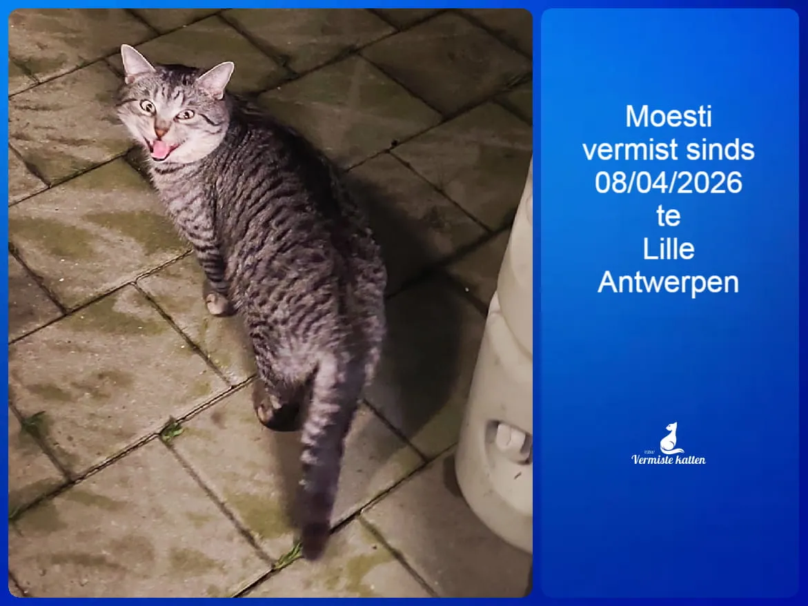 Moesti