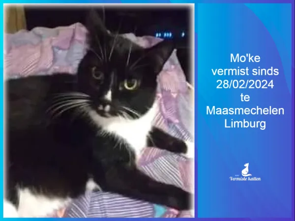Mo’ke