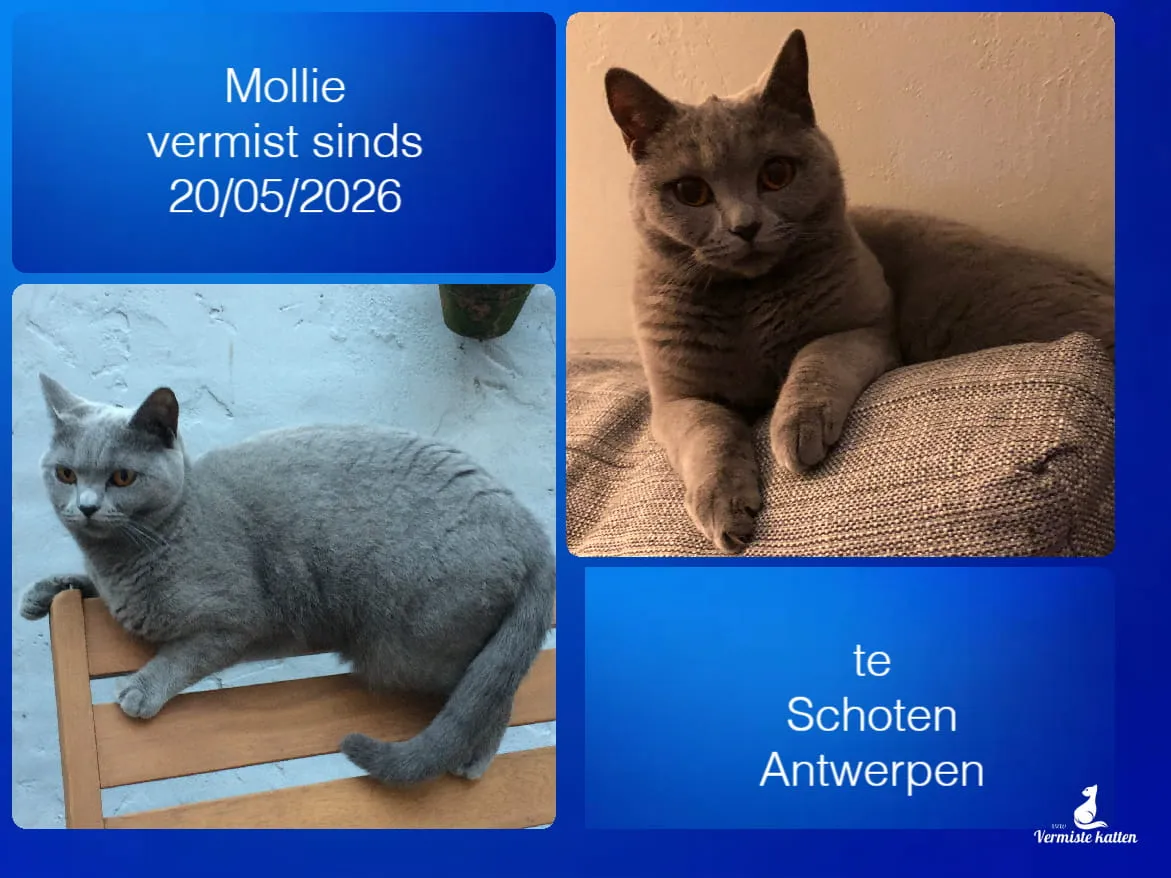 Mollie