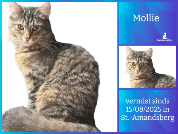Mollie