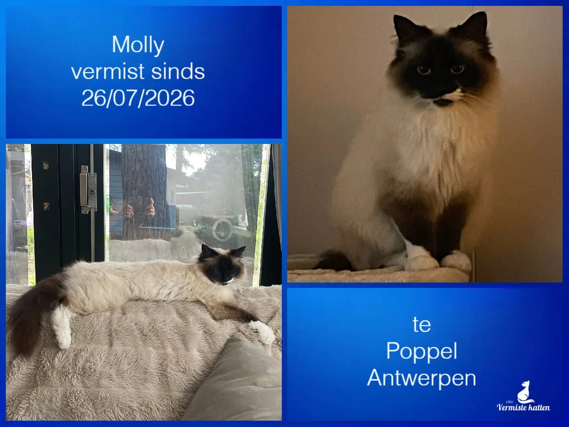 Molly