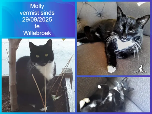 Molly
