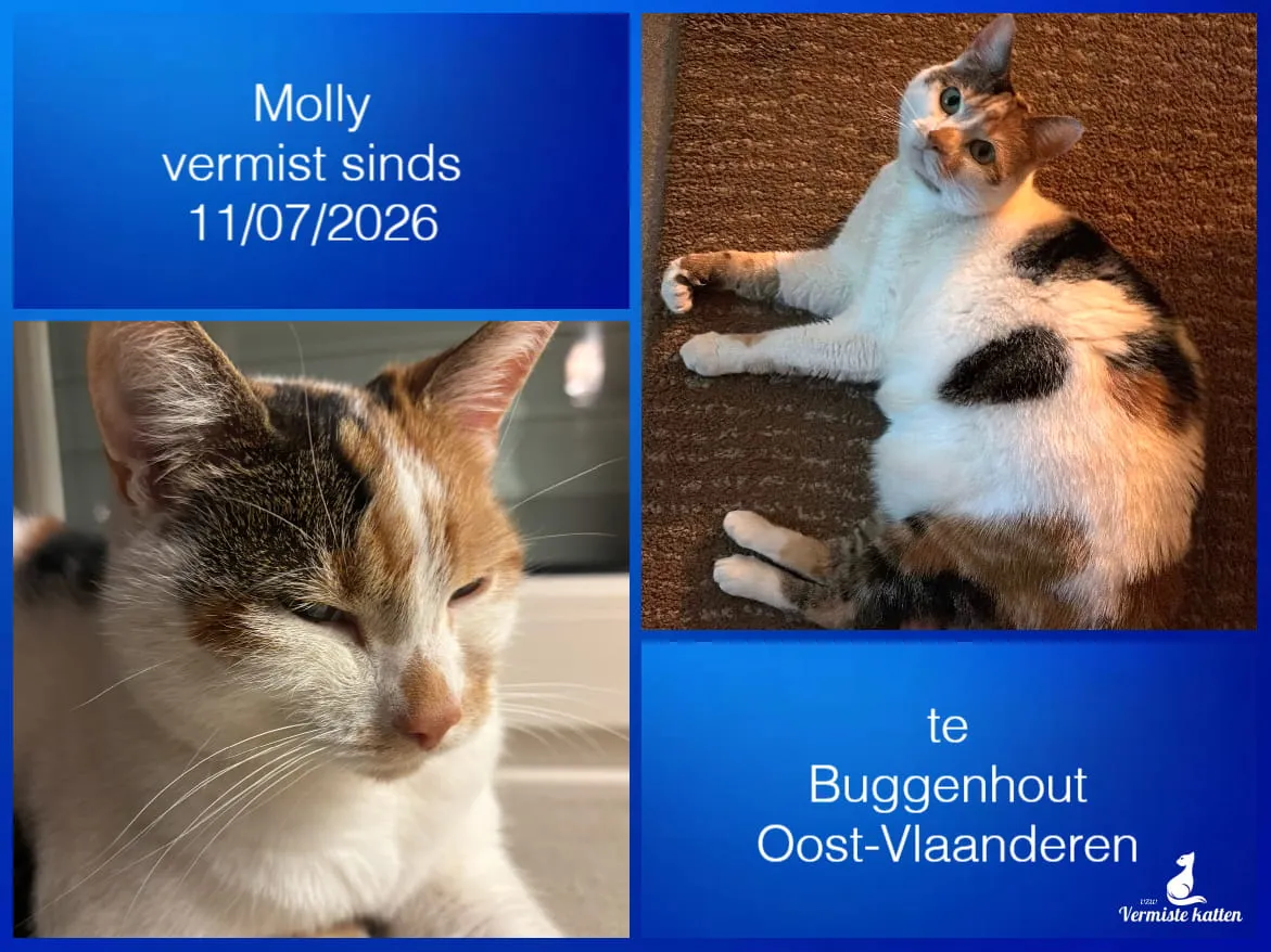Molly