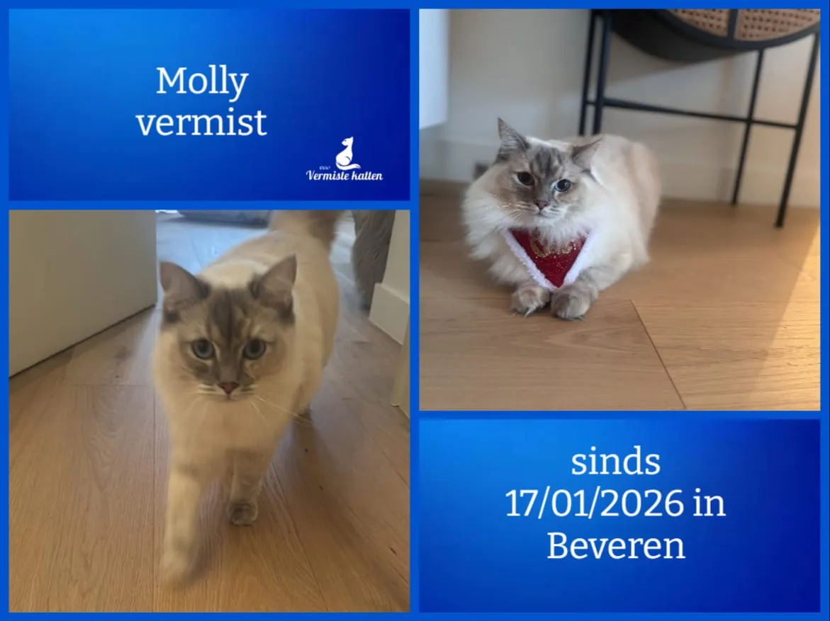 Molly