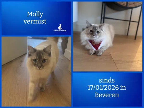 Molly