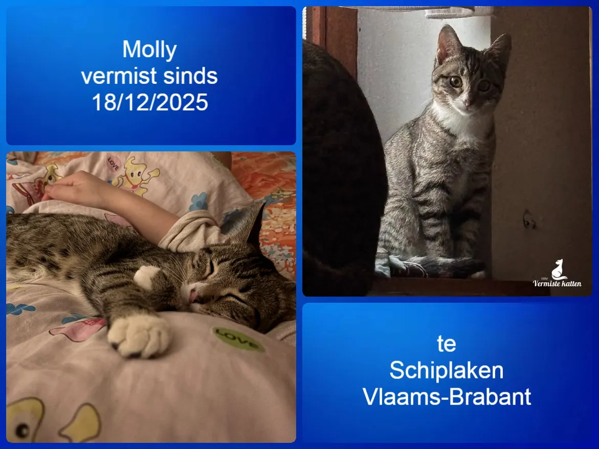 Molly
