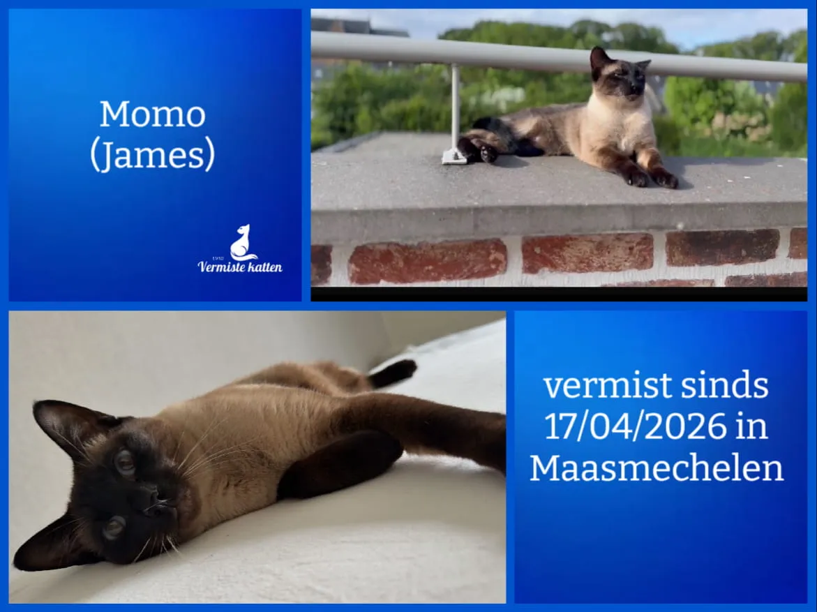 Momo/James