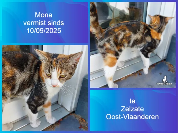 Mona