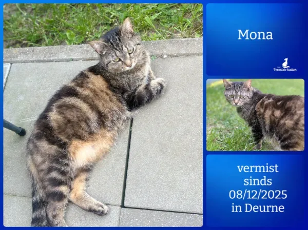 Mona