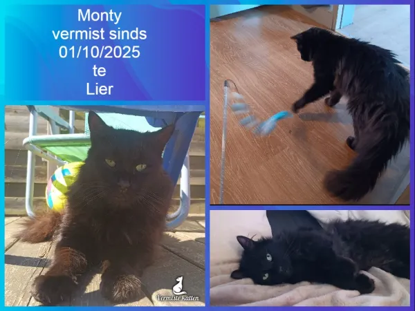 Monty