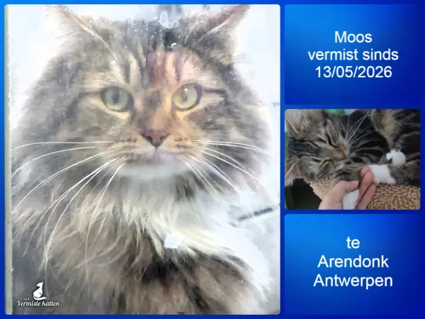 Moos