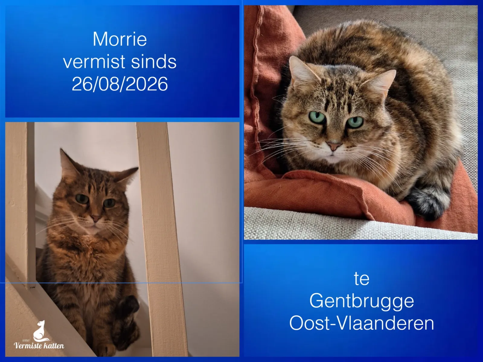 Morrie