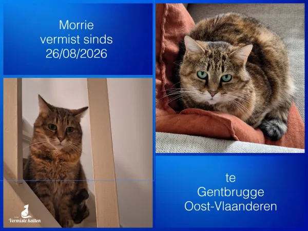 Morrie
