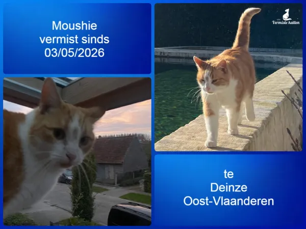 Moushie